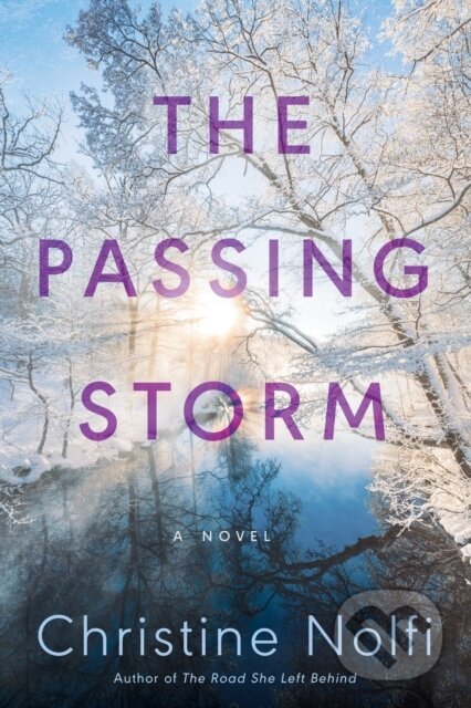 The Passing Storm (A Novel)