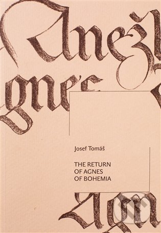 The Return of Agnes of Bohemia