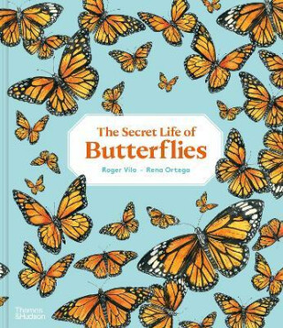 The Secret Life of Butterflies