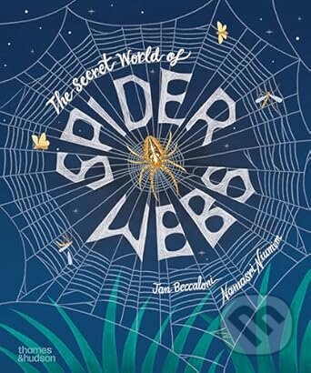 The Secret World of Spider Webs