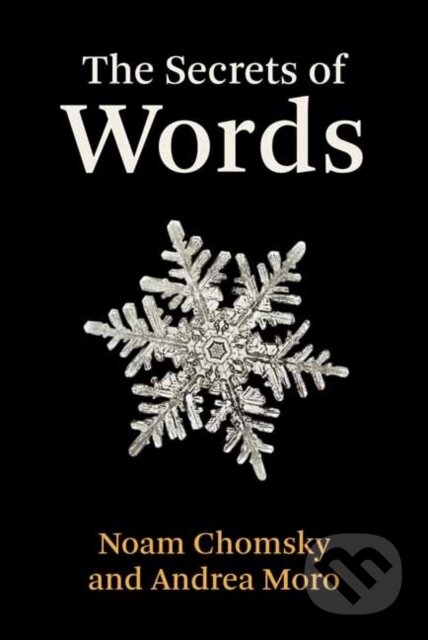 The Secrets of Words