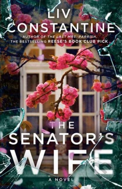 The Senator's Wife (A Novel)