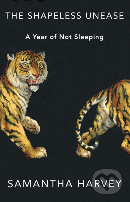 The Shapeless Unease (A Year of Not Sleeping)