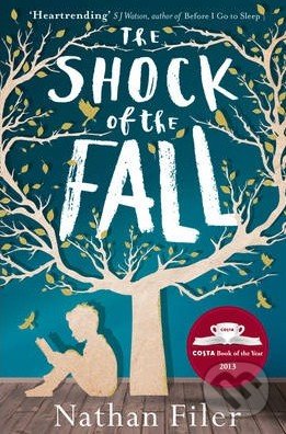 The Shock of the Fall
