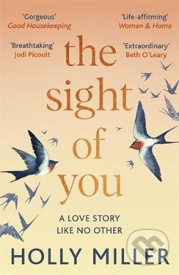 The Sight of You : A love story like no other