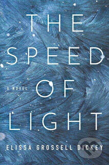 The Speed of Light (A Novel)