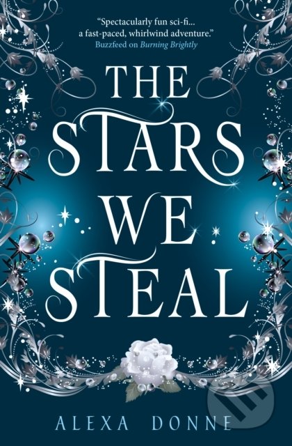 The Stars We Steal