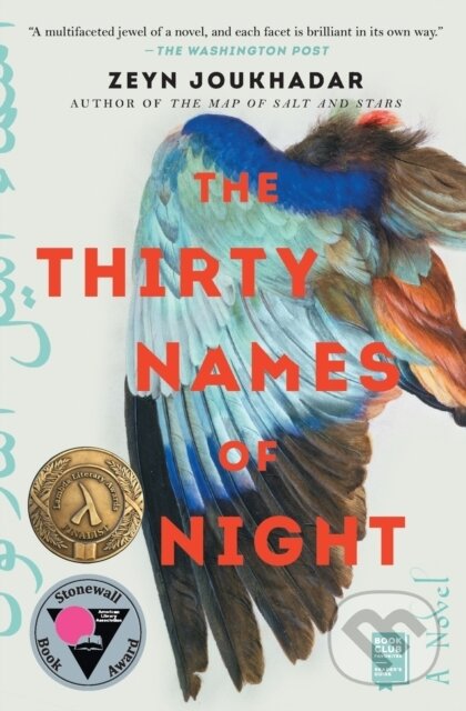 The Thirty Names of Night (A Novel)