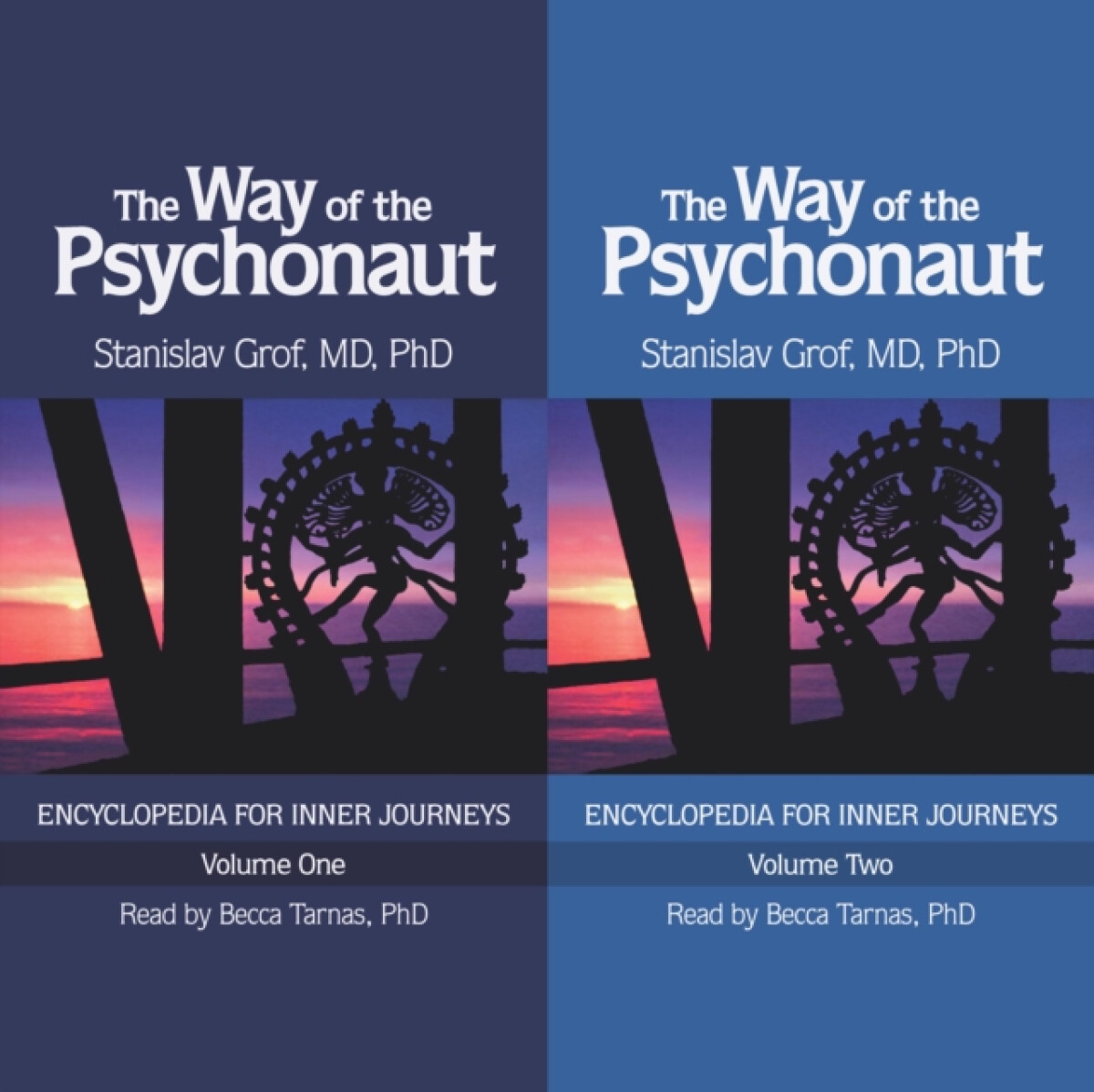 The Way of the Psychonaut Vol. 1