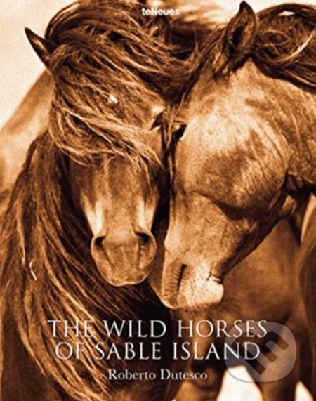 The Wild Horses of Sable Island