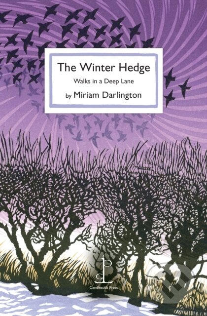 The Winter Hedge (Walks in a Deep Lane)
