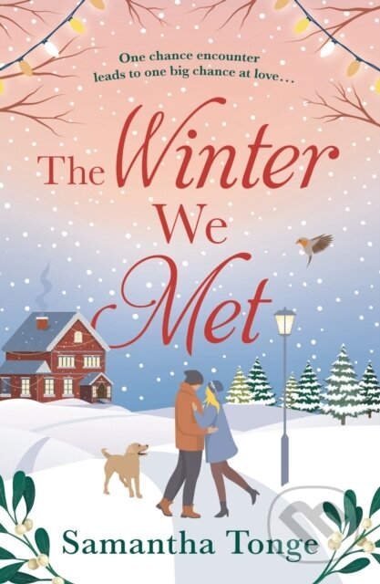 The Winter We Met