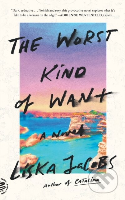 The Worst Kind of Want (A Novel)