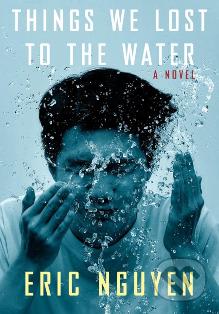 Things We Lost to the Water (A novel)