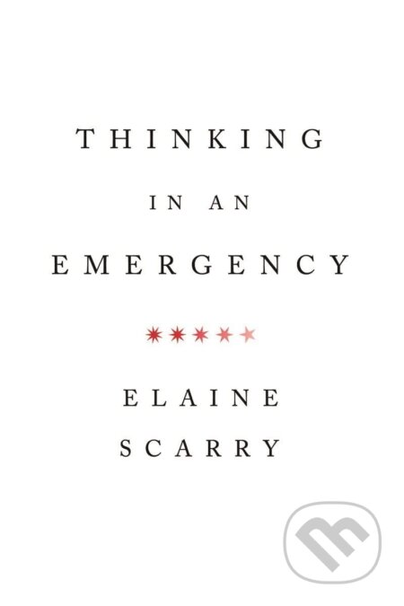 Thinking in an Emergency
