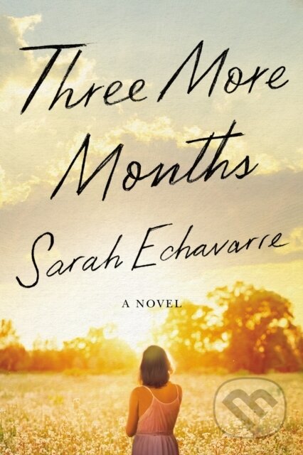 Three More Months (A Novel)