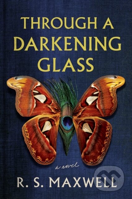 Through a Darkening Glass (A Novel)
