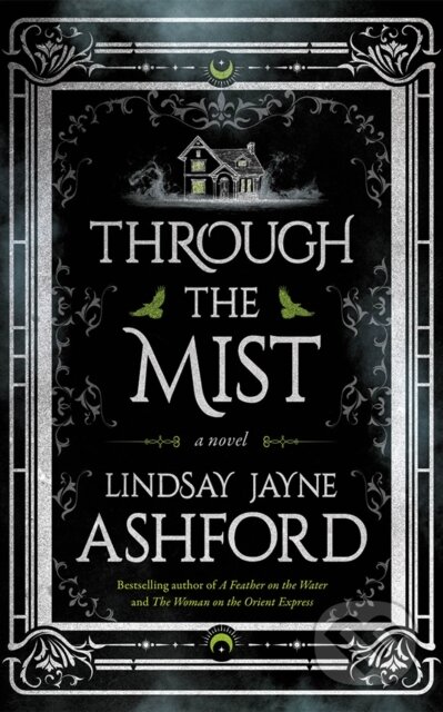 Through the Mist (A Novel)
