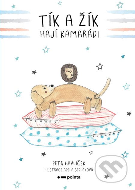 Tík a Žík, hají kamarádi
