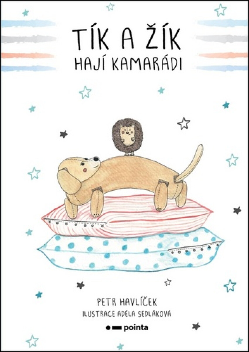 Tík a Žík, hají kamarádi - Petr Havlíček