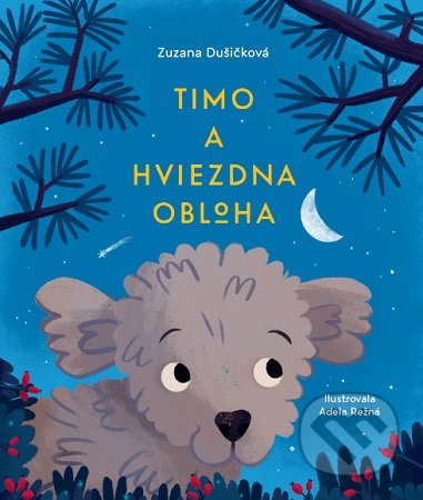 Timo a hviezdna obloha