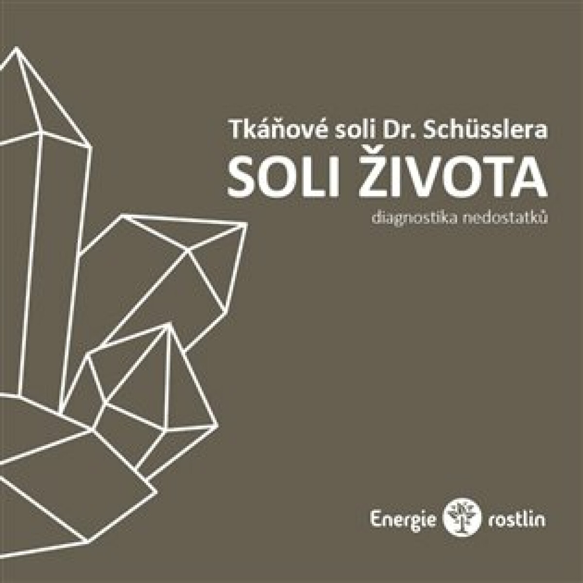Tkáňové soli Dr. Schüsslera - Soli života