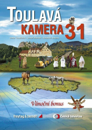 Toulavá kamera 31 (Defekt)