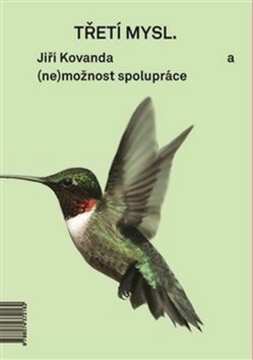 Třetí mysl / Third Mind