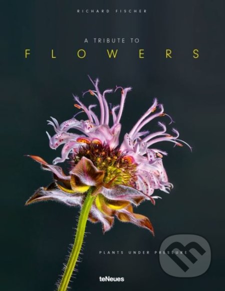 Tribute to Flowers (Plants Under Pressure)