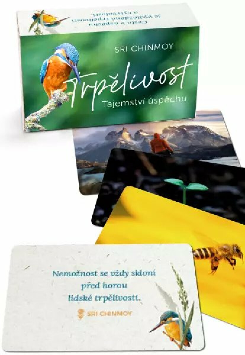 Trpělivost - Tajemství úspěchu - karty