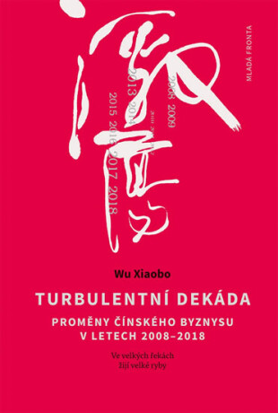 Turbulentní dekáda