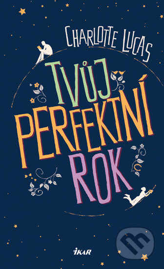 Tvůj perfektní rok