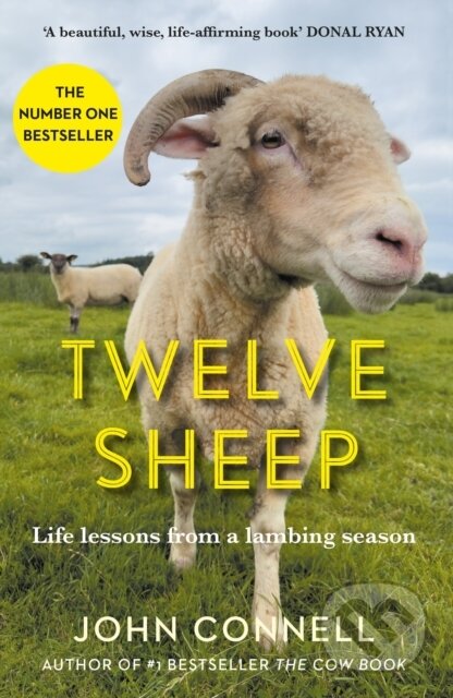 Twelve Sheep (Life lessons from a lambing season)
