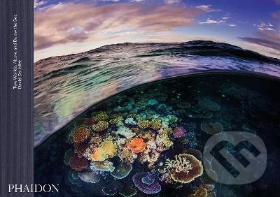 Two Worlds: Above and Below the Sea