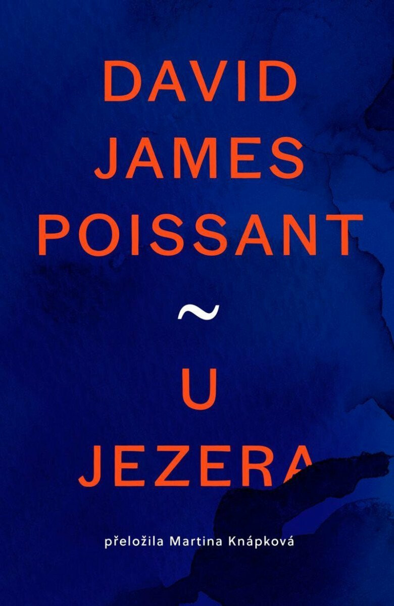 U jezera - David James Poissant