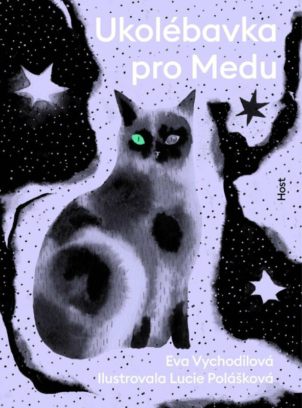 Ukolébavka pro Medu - Eva Vychodilová