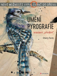 Umění pyrografie (Nové možnosti vypalování do dřeva) - kniha z kategorie Řemesla