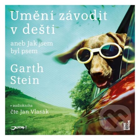 Umění závodit v dešti (Aneb jak jsem byl psem.)