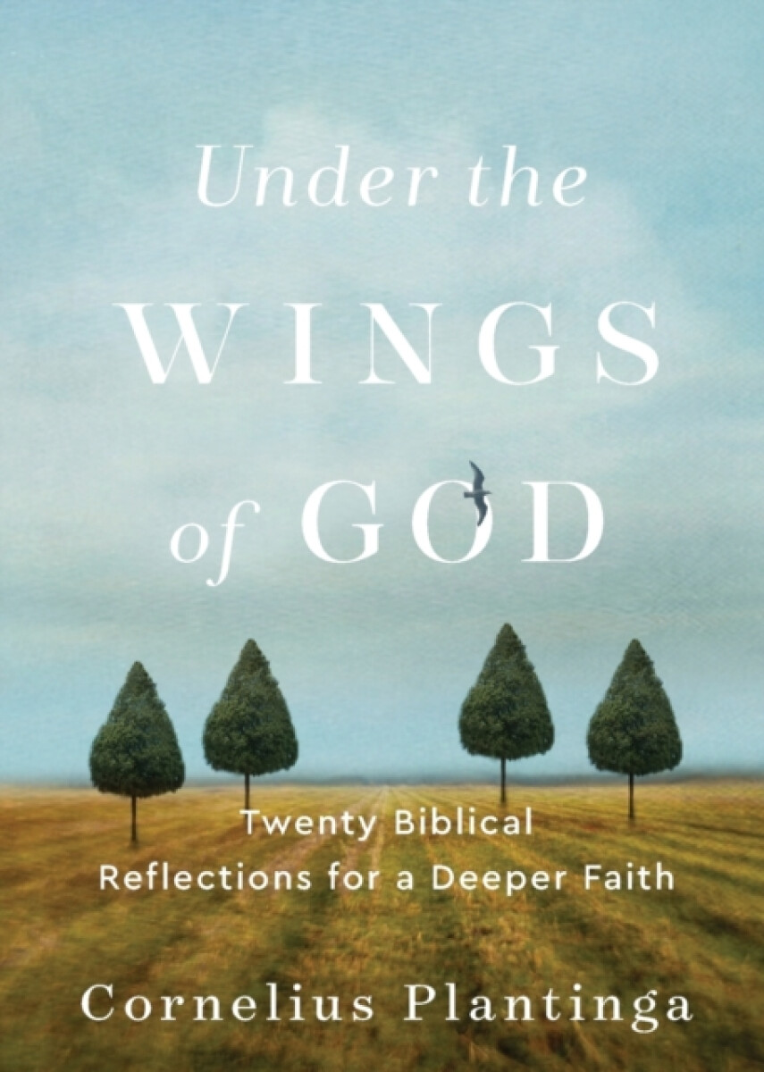 Under the Wings of God â€“ Twenty Biblical Reflections for a Deeper Faith