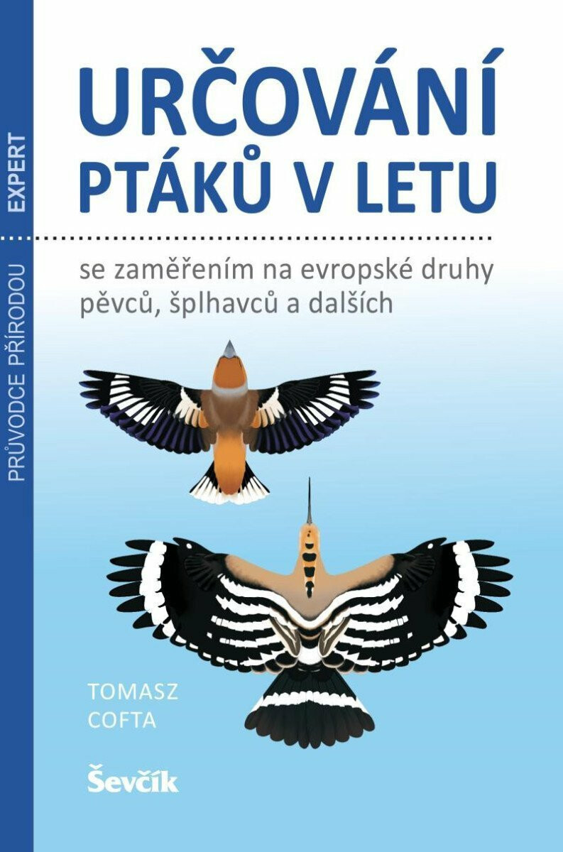 Určování ptáků v letu - Cofta Tomasz