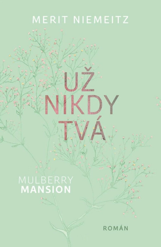 Už nikdy tvá - Merit Niemeitz