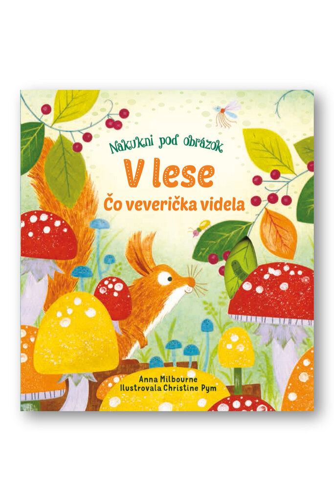 V lese Čo veverička videla