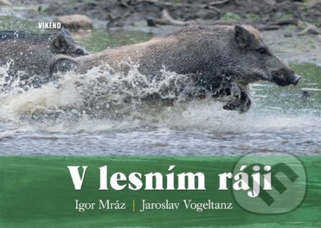 V lesním ráji
