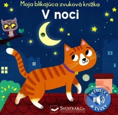 V noci