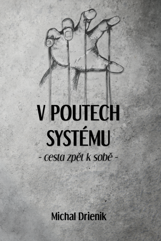 V poutech systému - Michal Drienik