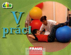 V práci (edice čti +)