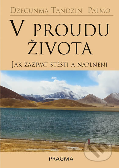 V proudu života (Jak zažívat štěstí a naplnění)