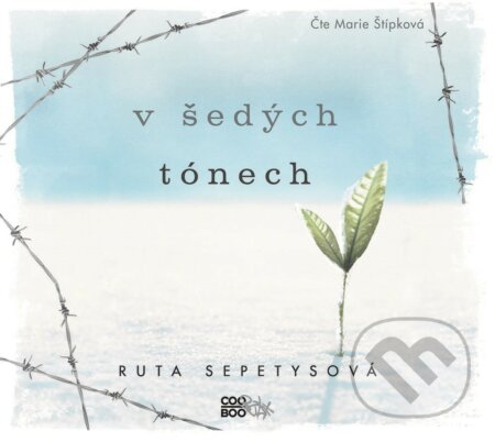 V šedých tónech