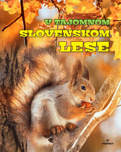V tajomnom slovenskom lese - Miroslav Saniga, Roman Jadroň