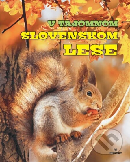 V tajomnom slovenskom lese